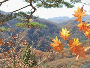 往年12月27日MC實(shí)時(shí)時(shí)間顯示