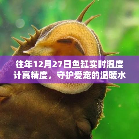 往年12月27日高精度魚(yú)缸溫度計(jì)，守護(hù)寵物溫暖水域