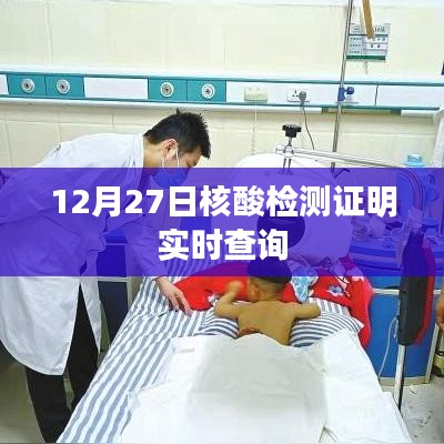 12月27日核酸檢測結(jié)果實時查詢系統(tǒng)