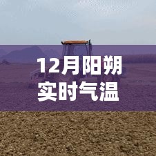 陽朔實(shí)時(shí)氣溫報(bào)告，探尋溫暖時(shí)光
