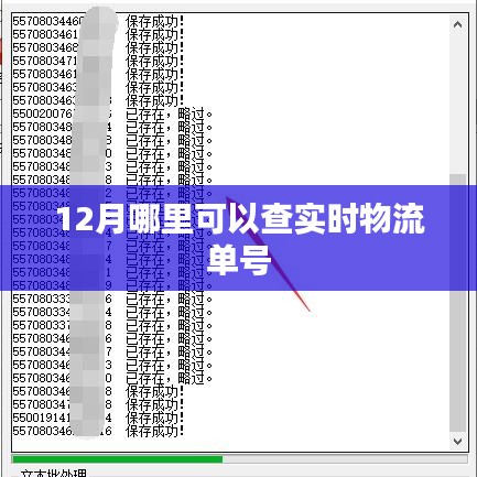 12月實時物流單號查詢攻略