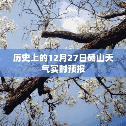 碭山歷史天氣回顧，12月27日實(shí)時(shí)天氣預(yù)報(bào)