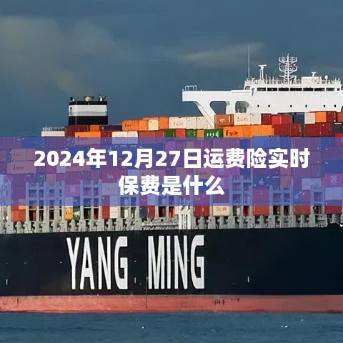 關(guān)于運(yùn)費(fèi)險(xiǎn)實(shí)時(shí)保費(fèi)的信息（日期標(biāo)注）