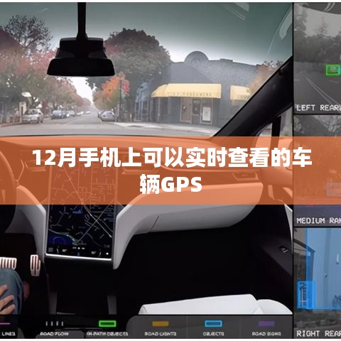 還醇返樸 第2頁