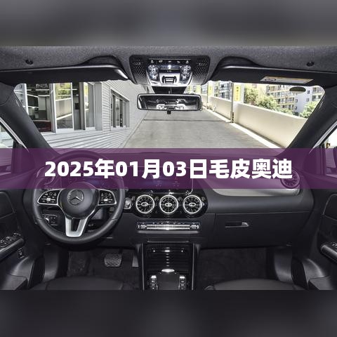 毛皮奧迪，未來(lái)時(shí)尚之選