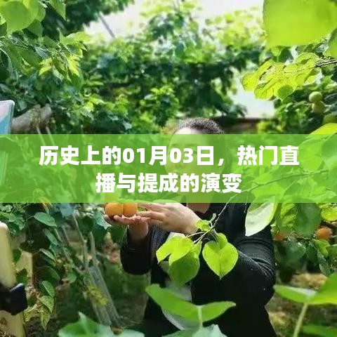 熱門直播與提成的演變歷程，回顧歷史上的1月3日