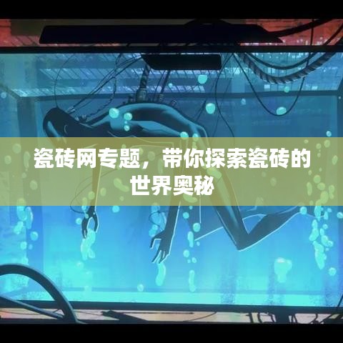 瓷磚網(wǎng)專題，帶你探索瓷磚的世界奧秘
