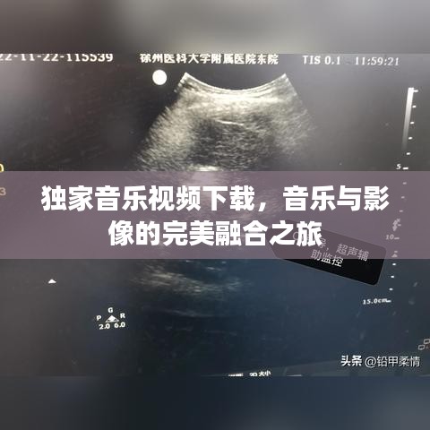 獨(dú)家音樂(lè)視頻下載，音樂(lè)與影像的完美融合之旅