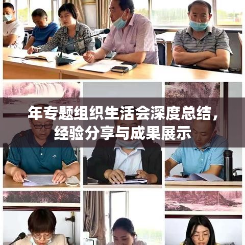 年專題組織生活會深度總結(jié)，經(jīng)驗(yàn)分享與成果展示