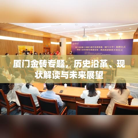 廈門金磚專題，歷史沿革、現(xiàn)狀解讀與未來(lái)展望