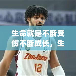 生命就是不斷受傷不斷成長(zhǎng)，生命就是不斷的折騰