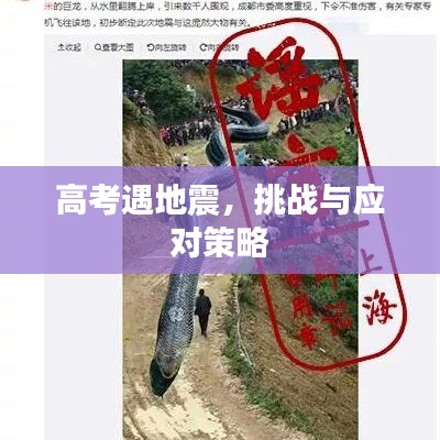 高考遇地震，挑戰(zhàn)與應(yīng)對(duì)策略