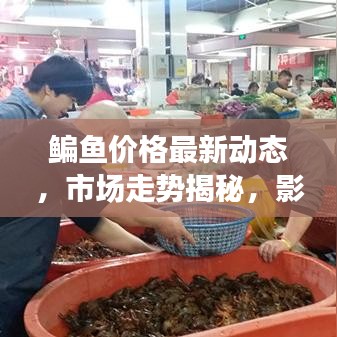 鳊魚價格最新動態(tài)，市場走勢揭秘，影響因素深度剖析
