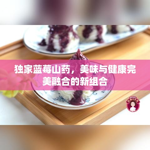 獨(dú)家藍(lán)莓山藥，美味與健康完美融合的新組合