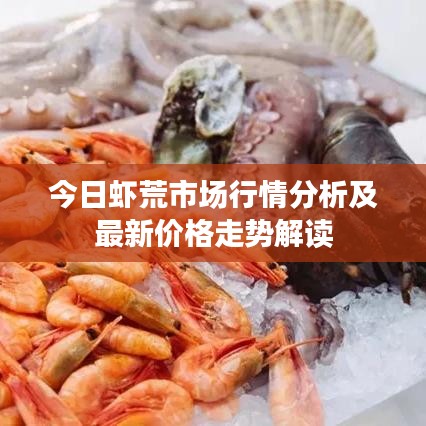 今日蝦荒市場行情分析及最新價(jià)格走勢解讀