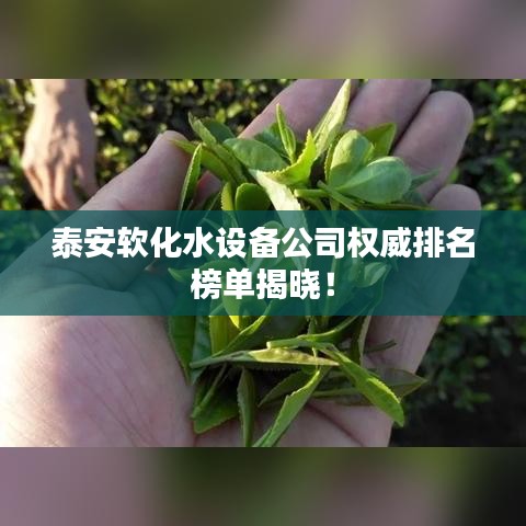泰安軟化水設(shè)備公司權(quán)威排名榜單揭曉！