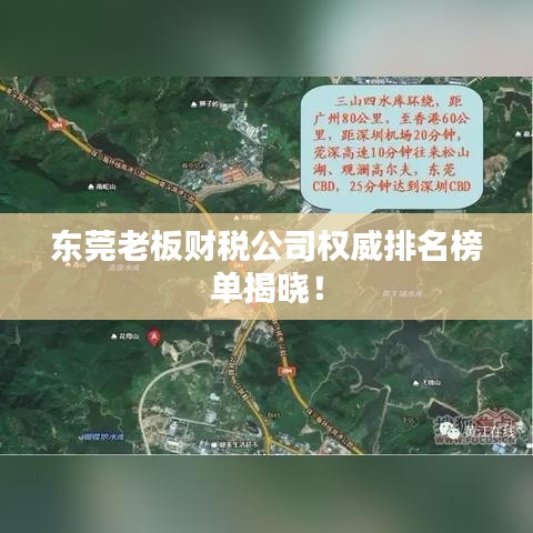 東莞老板財(cái)稅公司權(quán)威排名榜單揭曉！