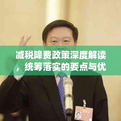 減稅降費(fèi)政策深度解讀，統(tǒng)籌落實(shí)的要點(diǎn)與優(yōu)勢(shì)分析