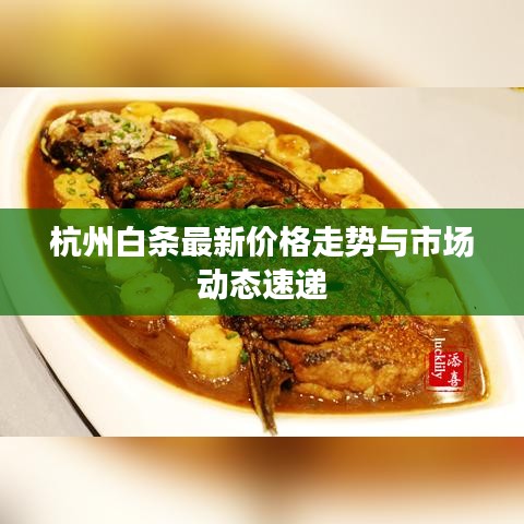杭州白條最新價(jià)格走勢(shì)與市場(chǎng)動(dòng)態(tài)速遞