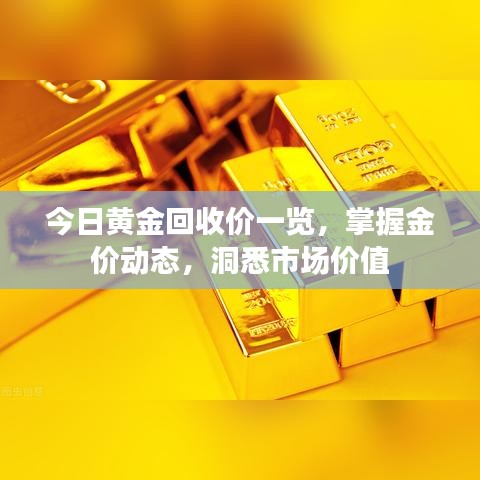 今日黃金回收價一覽，掌握金價動態(tài)，洞悉市場價值