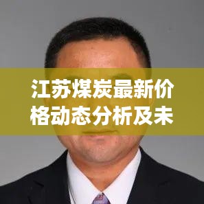 江蘇煤炭最新價格動態(tài)分析及未來展望