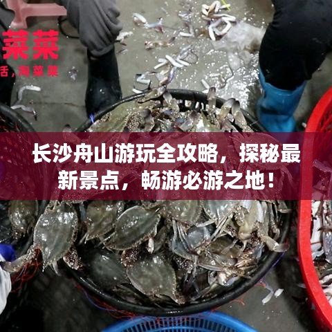 長(zhǎng)沙舟山游玩全攻略，探秘最新景點(diǎn)，暢游必游之地！