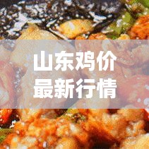 山東雞價(jià)最新行情走勢(shì)分析，今日市場(chǎng)動(dòng)態(tài)揭秘