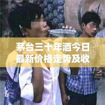 茅臺三十年酒今日最新價(jià)格走勢及收藏投資價(jià)值深度解析