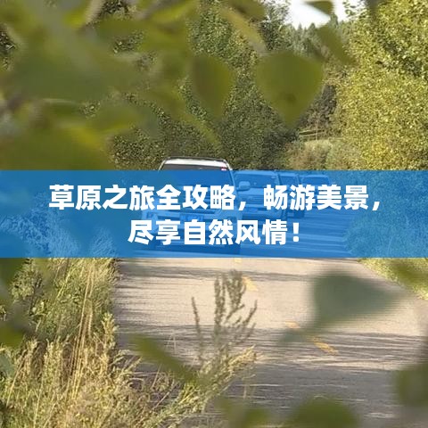 草原之旅全攻略，暢游美景，盡享自然風(fēng)情！