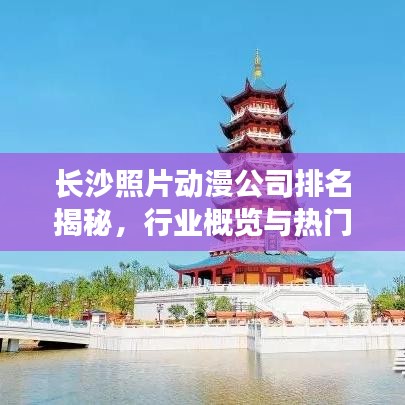 長沙照片動漫公司排名揭秘，行業(yè)概覽與熱門機(jī)構(gòu)榜單