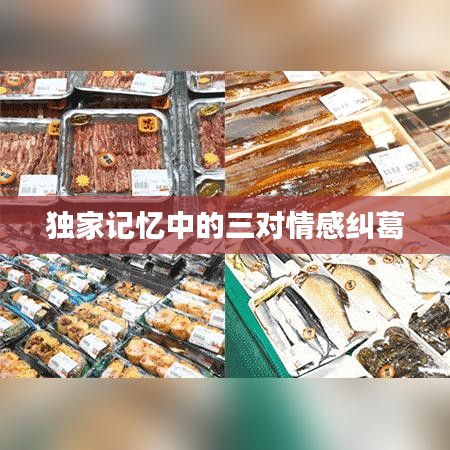 獨家記憶中的三對情感糾葛