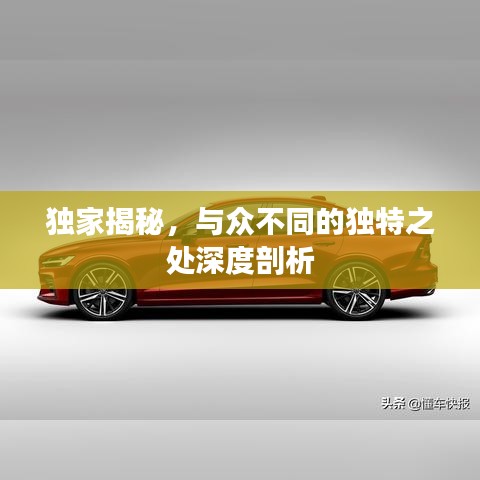 獨(dú)家揭秘，與眾不同的獨(dú)特之處深度剖析