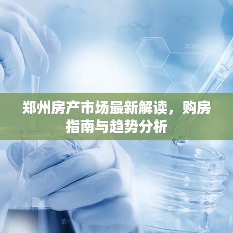 鄭州房產(chǎn)市場(chǎng)最新解讀，購房指南與趨勢(shì)分析