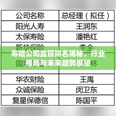 壽險公司監(jiān)管排名揭秘，行業(yè)格局與未來趨勢展望