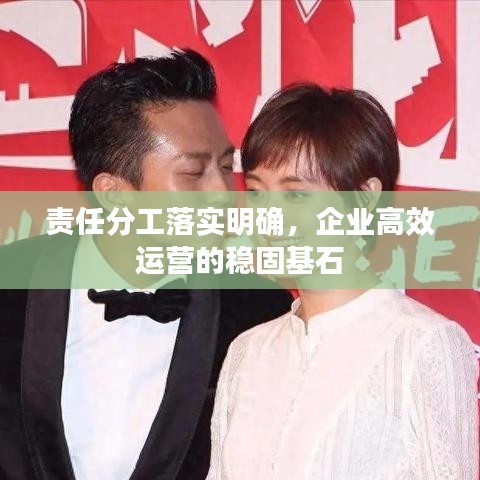 責(zé)任分工落實(shí)明確，企業(yè)高效運(yùn)營(yíng)的穩(wěn)固基石