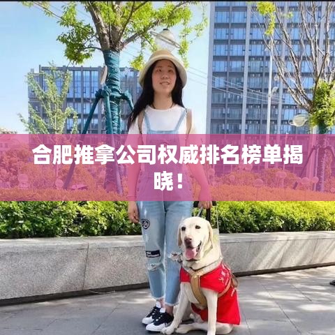 合肥推拿公司權(quán)威排名榜單揭曉！