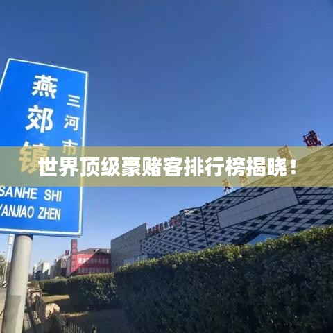 世界頂級(jí)豪賭客排行榜揭曉！