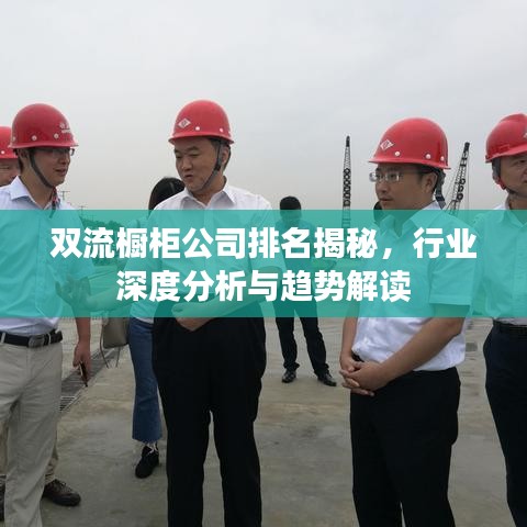 雙流櫥柜公司排名揭秘，行業(yè)深度分析與趨勢解讀