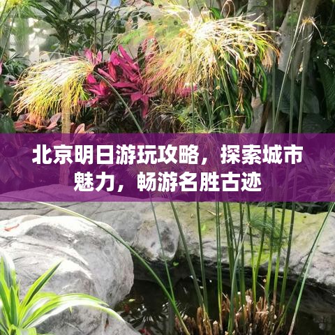 北京明日游玩攻略，探索城市魅力，暢游名勝古跡