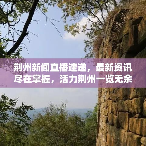 荊州新聞直播速遞，最新資訊盡在掌握，活力荊州一覽無余