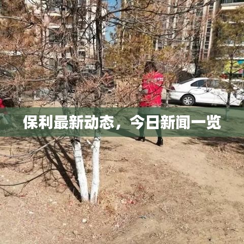 保利最新動態(tài)，今日新聞一覽