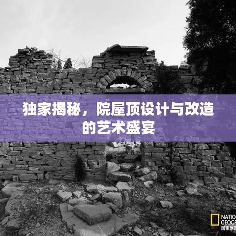 獨家揭秘，院屋頂設計與改造的藝術盛宴
