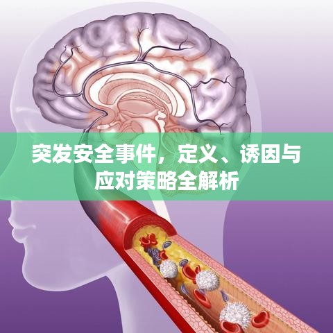 突發(fā)安全事件，定義、誘因與應對策略全解析