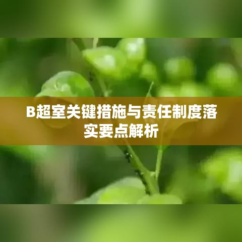 B超室關(guān)鍵措施與責(zé)任制度落實(shí)要點(diǎn)解析
