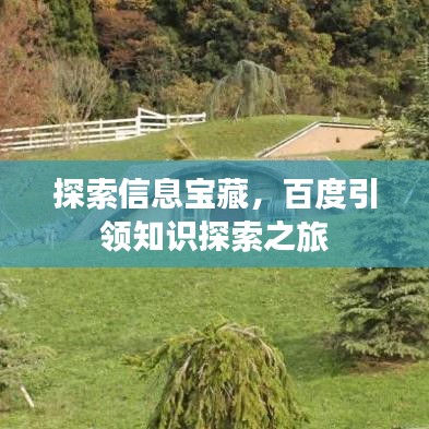 探索信息寶藏，百度引領(lǐng)知識探索之旅