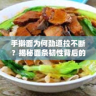 手搟面為何勁道拉不斷？揭秘面條韌性背后的秘密！