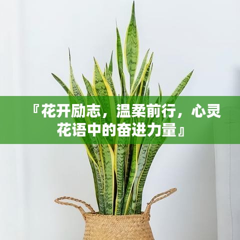 『花開(kāi)勵(lì)志，溫柔前行，心靈花語(yǔ)中的奮進(jìn)力量』