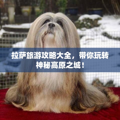 拉薩旅游攻略大全，帶你玩轉(zhuǎn)神秘高原之城！