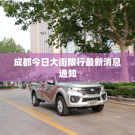 狗尾續(xù)貂