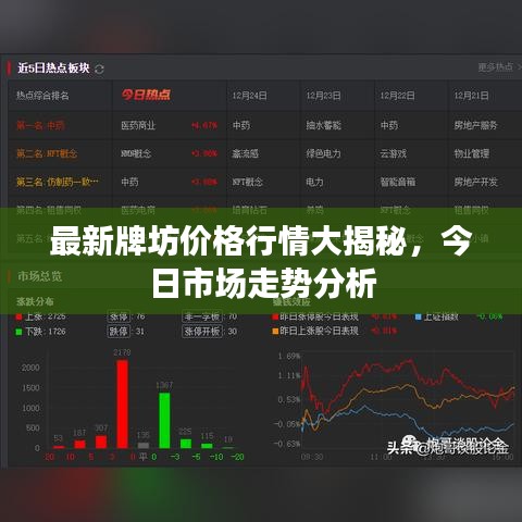 衣不兼采